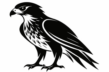 hawk silhouette line art vector illustration with a white background