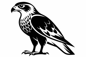 hawk silhouette line art vector illustration with a white background