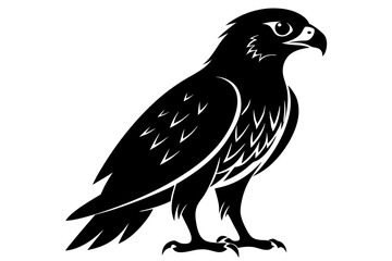 hawk silhouette line art vector illustration with a white background