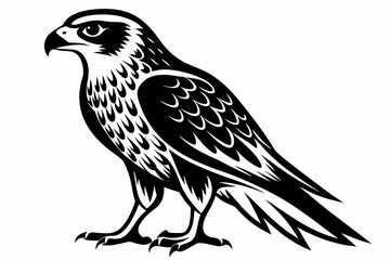hawk silhouette line art vector illustration with a white background