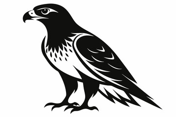 hawk silhouette line art vector illustration with a white background