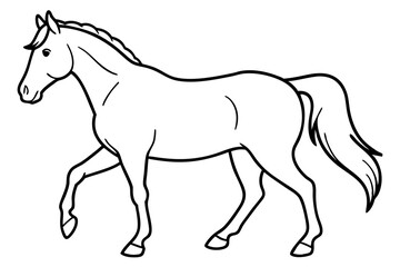 horse silhouette line art vector illustration with a white background