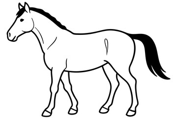 horse silhouette line art vector illustration with a white background