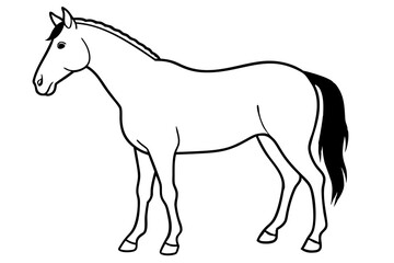 Obraz premium horse silhouette line art vector illustration with a white background