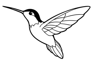 hummingbird silhouette line art vector illustration with a white background