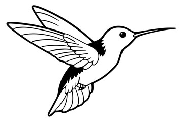 hummingbird silhouette line art vector illustration with a white background