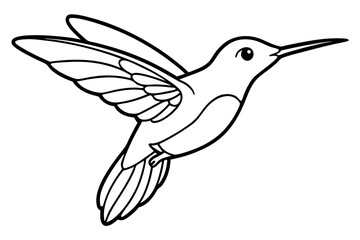 hummingbird silhouette line art vector illustration with a white background