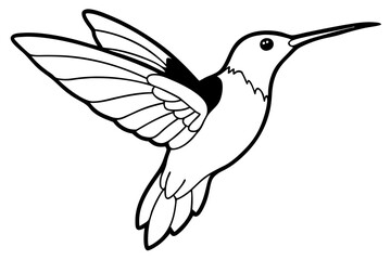 Obraz premium hummingbird silhouette line art vector illustration with a white background