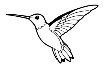 hummingbird silhouette line art vector illustration with a white background