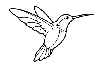hummingbird silhouette line art vector illustration with a white background