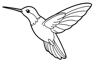 Obraz premium hummingbird silhouette line art vector illustration with a white background