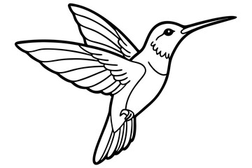 Fototapeta premium hummingbird silhouette line art vector illustration with a white background