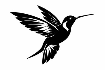 hummingbird silhouette line art vector illustration with a white background