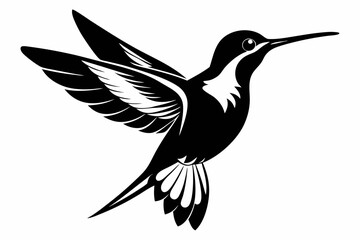 hummingbird silhouette line art vector illustration with a white background