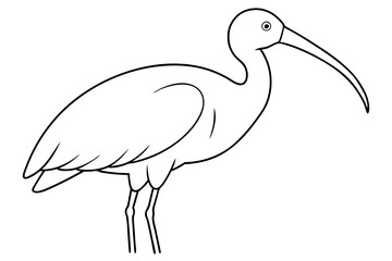 Obraz premium ibis silhouette line art vector illustration with a white background