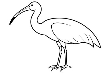ibis silhouette line art vector illustration with a white background