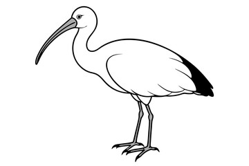 ibis silhouette line art vector illustration with a white background