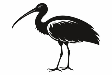 ibis silhouette line art vector illustration with a white background