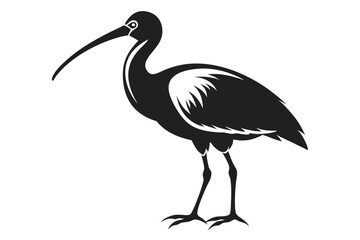 ibis silhouette line art vector illustration with a white background