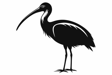 ibis silhouette line art vector illustration with a white background