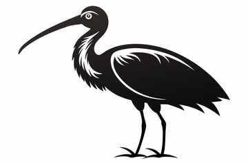 ibis silhouette line art vector illustration with a white background