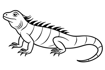 iguana silhouette line art vector illustration with a white background