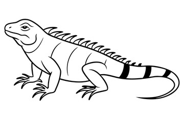 iguana silhouette line art vector illustration with a white background