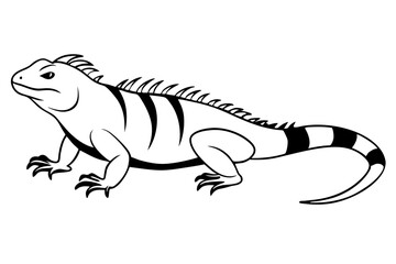 iguana silhouette line art vector illustration with a white background