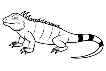 iguana silhouette line art vector illustration with a white background