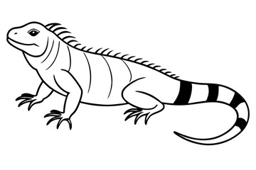 iguana silhouette line art vector illustration with a white background