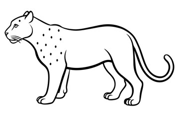 jaguar silhouette line art vector illustration with a white background