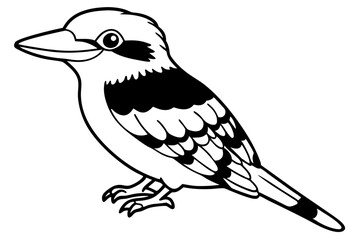 kookaburra silhouette line art vector illustration with a white background