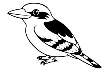 kookaburra silhouette line art vector illustration with a white background