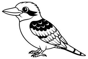 kookaburra silhouette line art vector illustration with a white background
