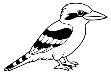 kookaburra silhouette line art vector illustration with a white background