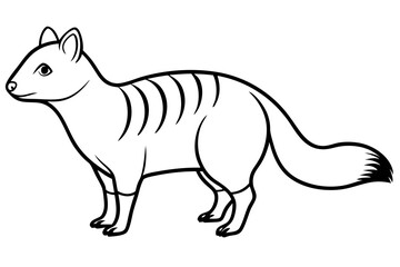 kowari silhouette line art vector illustration with a white background