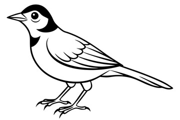lark silhouette line art vector illustration with a white background