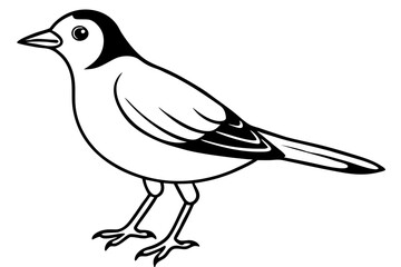 lark silhouette line art vector illustration with a white background