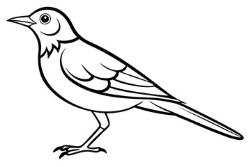 lark silhouette line art vector illustration with a white background