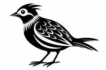 lark silhouette line art vector illustration with a white background