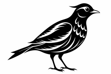 lark silhouette line art vector illustration with a white background