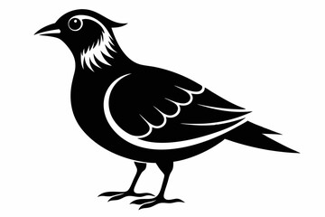 lark silhouette line art vector illustration with a white background