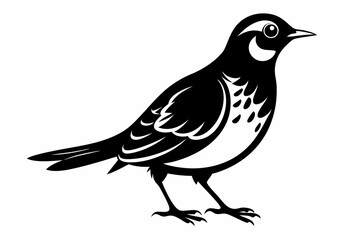 Obraz premium lark silhouette line art vector illustration with a white background