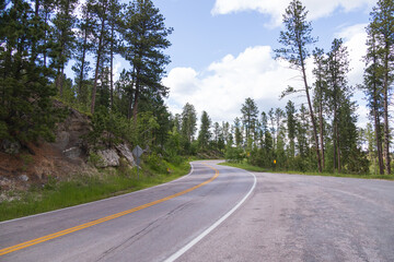 Naklejka premium Peter Norbeck Scenic byway through Custer State Park, South Dakota