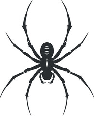 Silhouette of a spider with detailed legs and body on a white background.