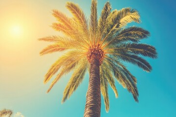 Sun setting over tropical beach with palm tree. Exotic vacation getaway. Palm trees on a sandy beach.