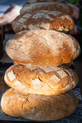 Beautiful loaves of bread lit by sunlight