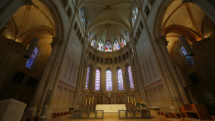 Obraz premium Catedral de San Juan Bautista. Lyon, Francia