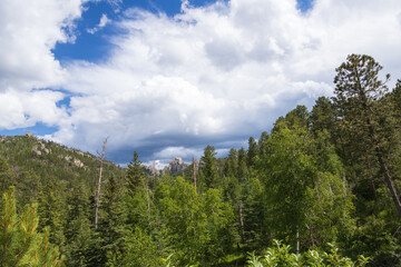 Custer State Park, South Dakota