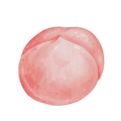 Juicy, appetizing pink fruit of peach, nectarine. Vector graphics.
